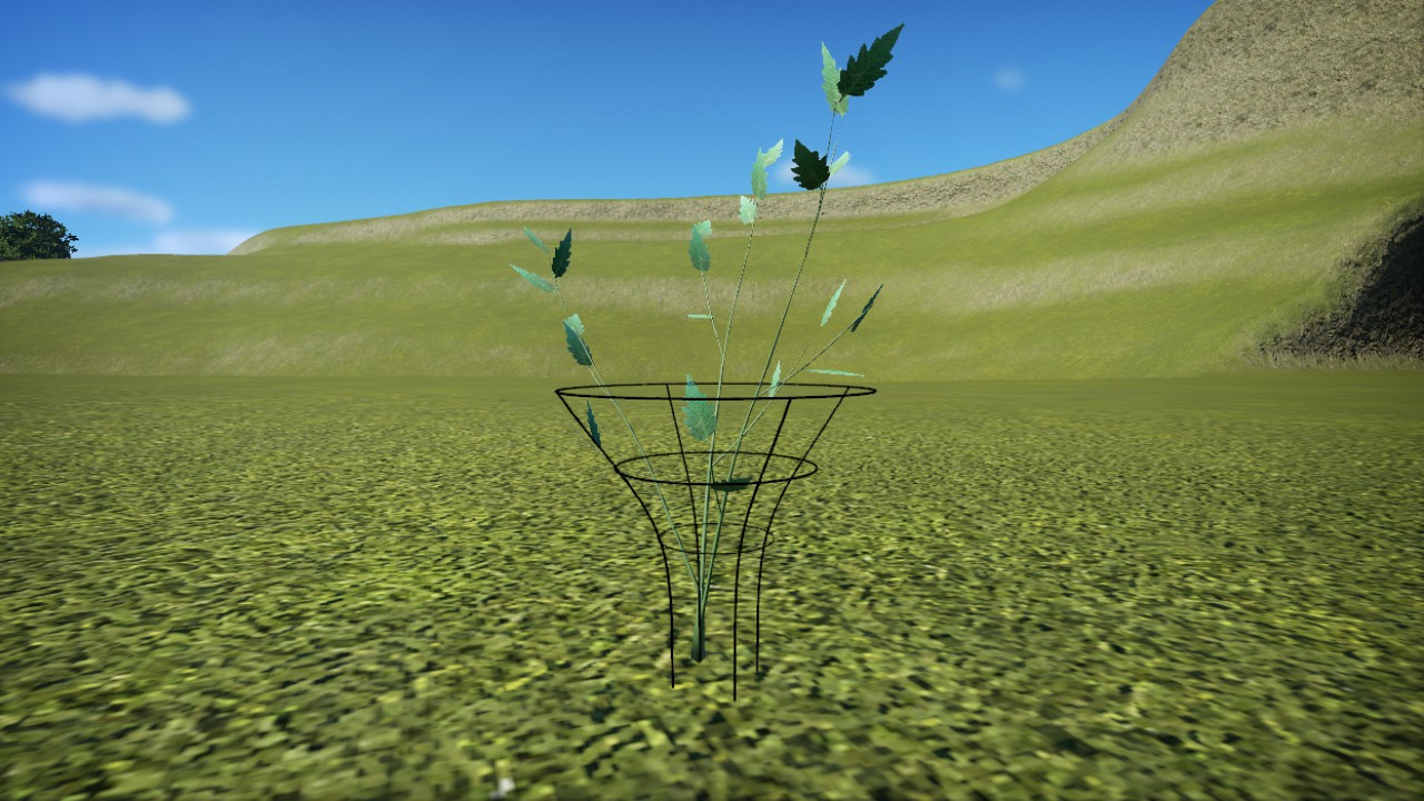 Wire Plant Ladder