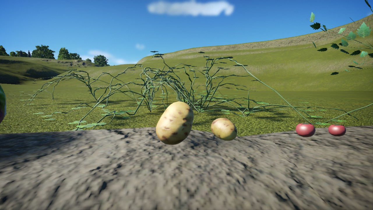 Potato 1
