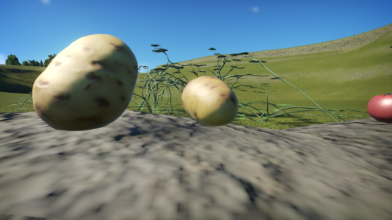 Potato 2