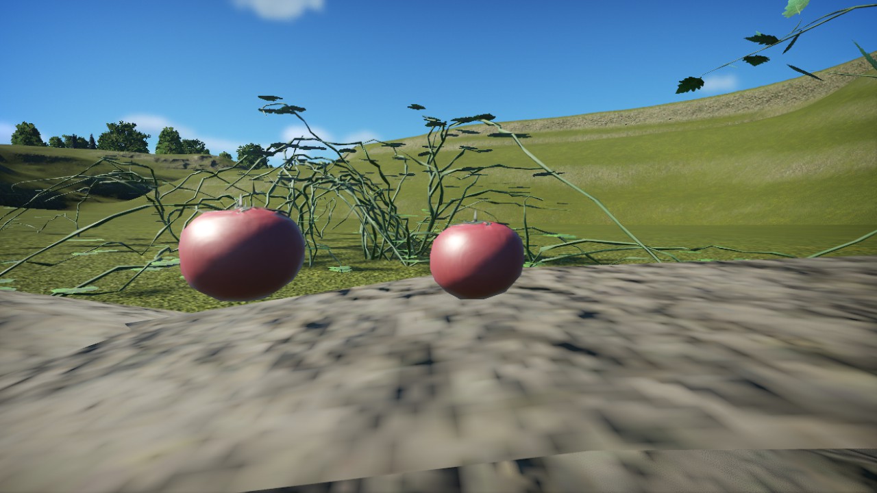 Small Tomato