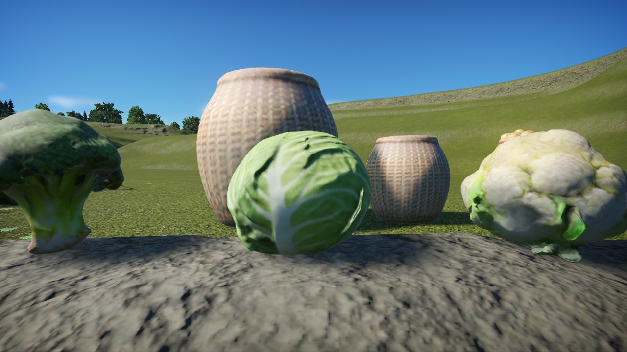 Cabbage