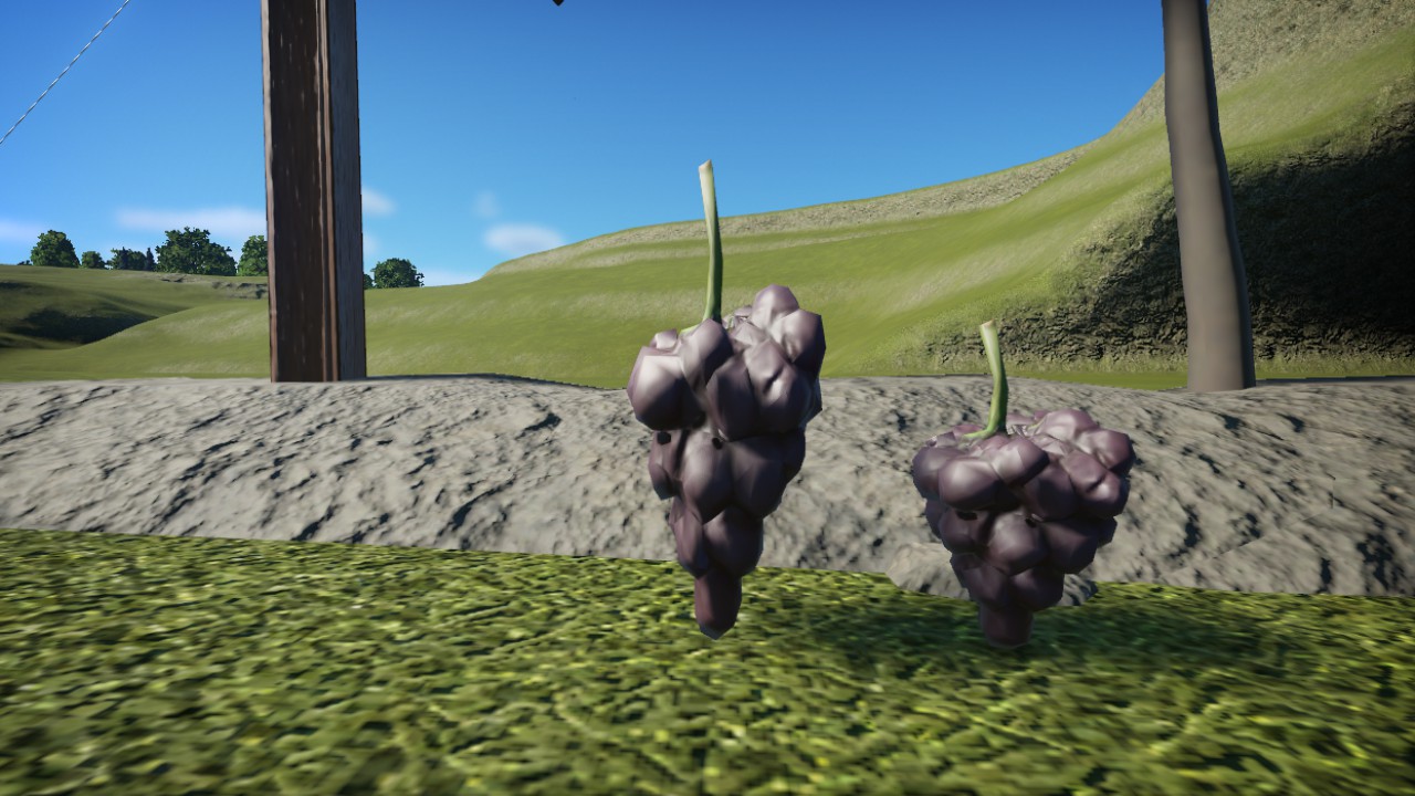 Grape 1