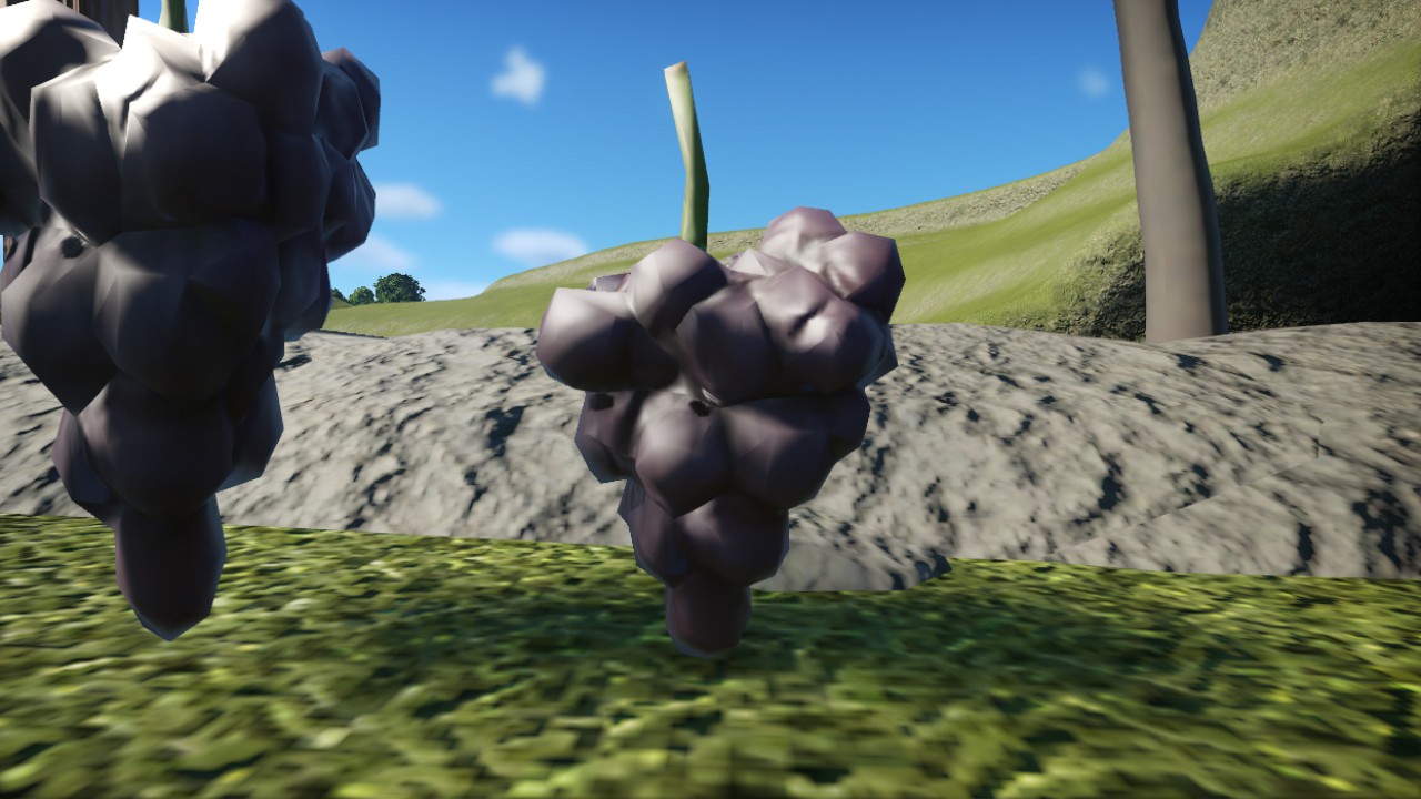 Grape 2