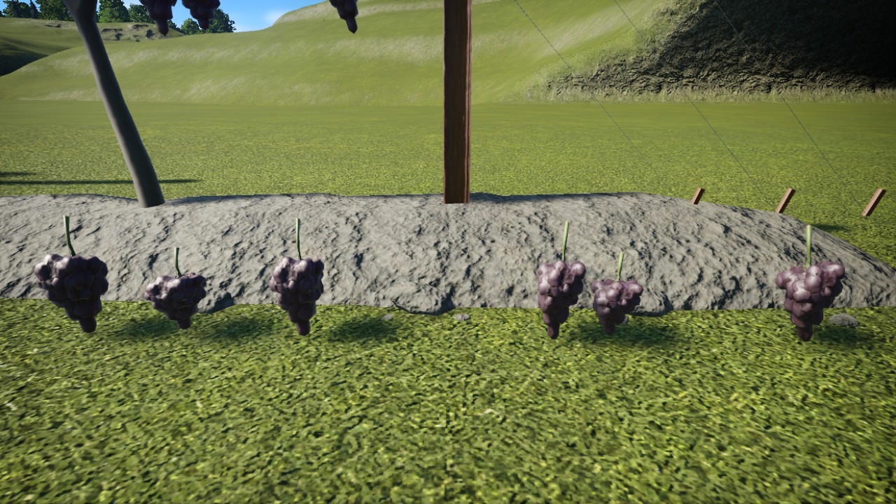 Grape Row