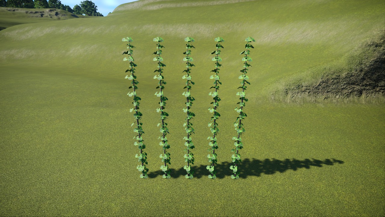 Hop Vine
