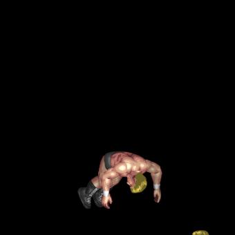 Swan Dive 450 Lariat