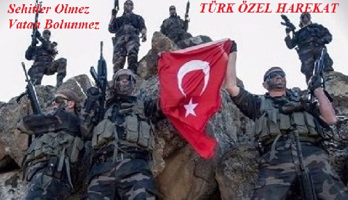 Gabar Harekatı v.2.2