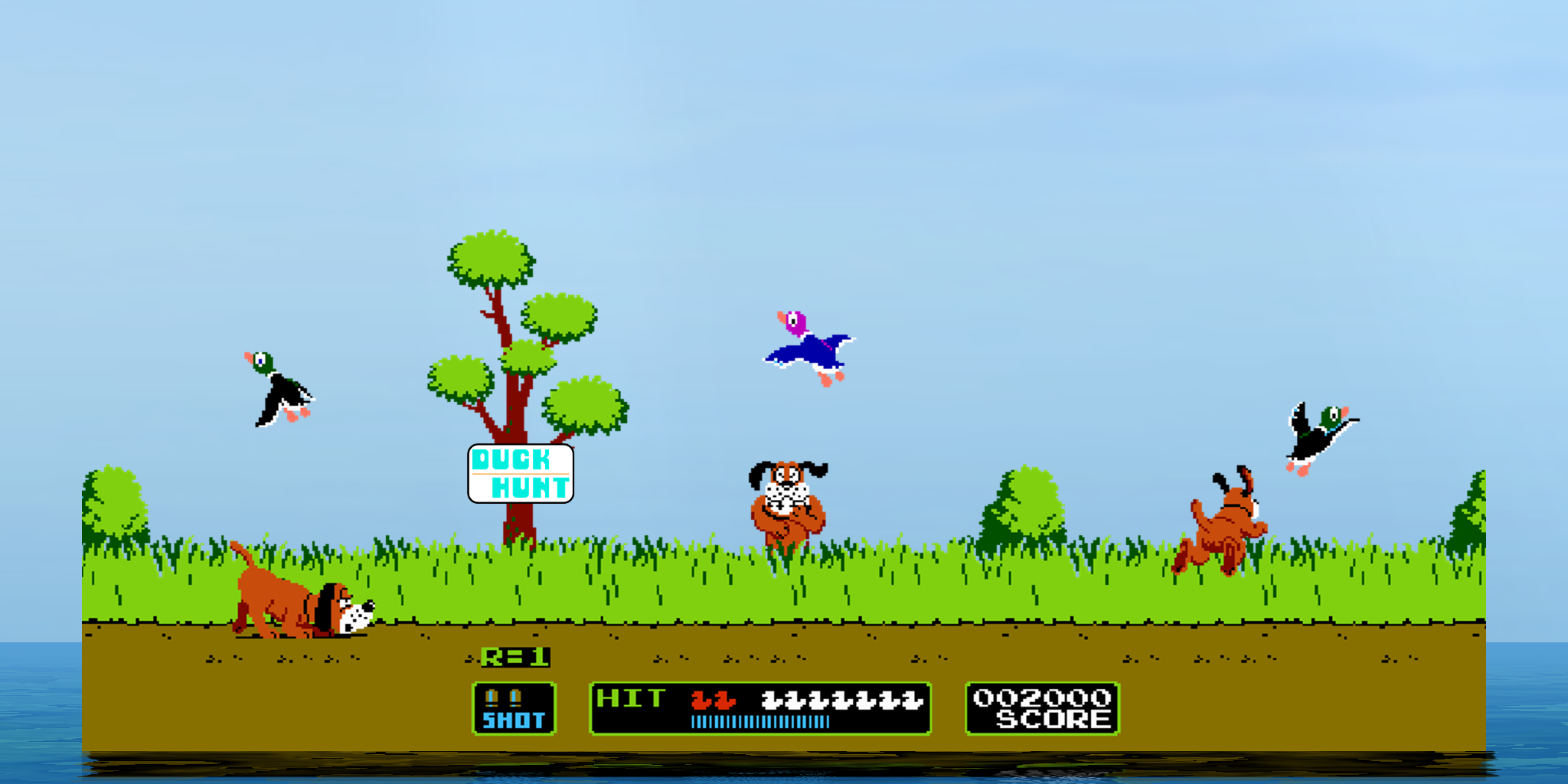 Duck Hunt