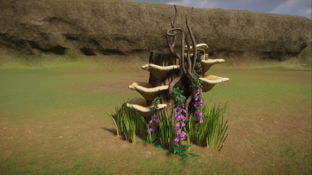 Donation Box Souche d'arbre/Tree Stump