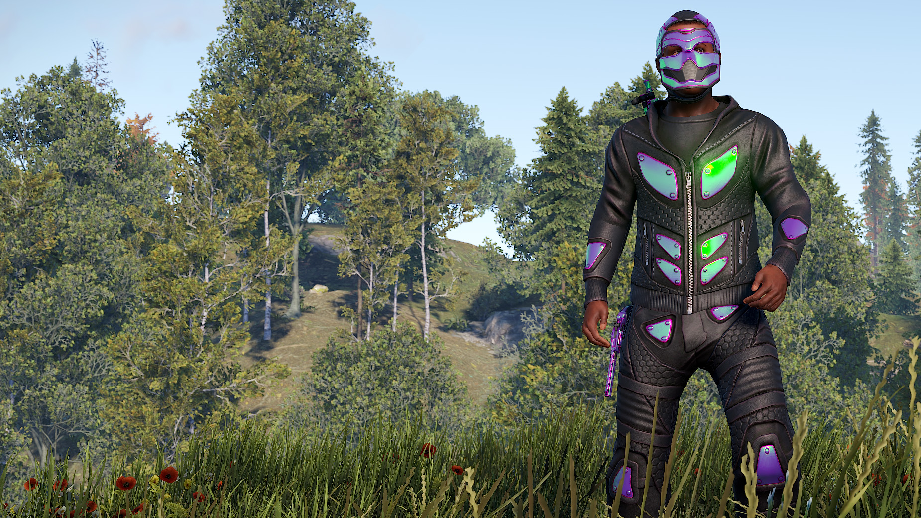Chameleon Hoodie