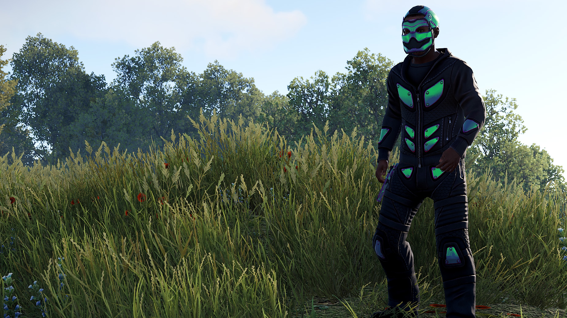 Chameleon Hoodie