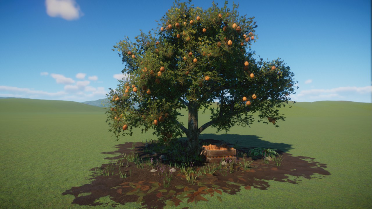 Orange Tree - Robinbird