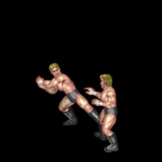 Sheamus's Double Axe Handle