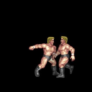 High Knee & Lariat Combo (Post)