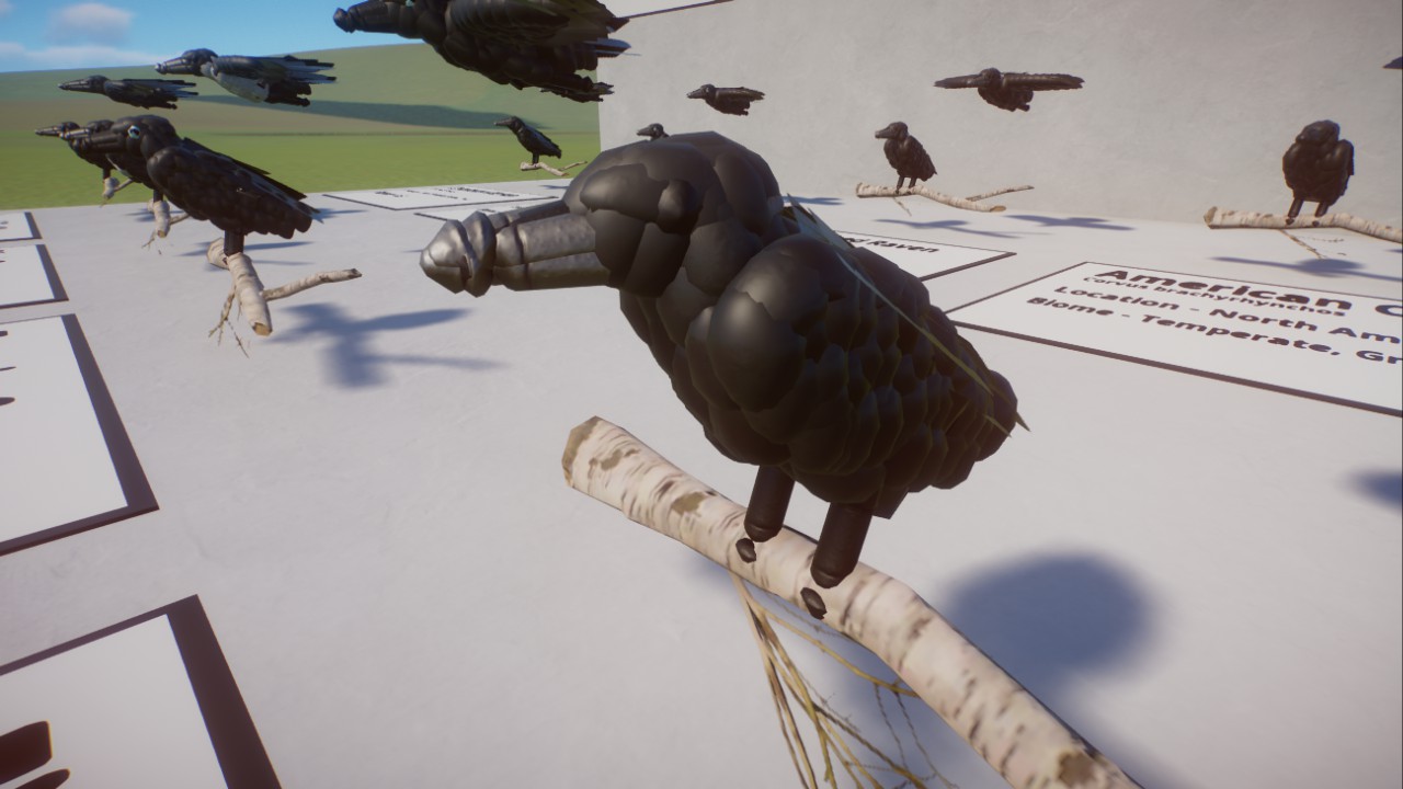 Crows - Birds of the World