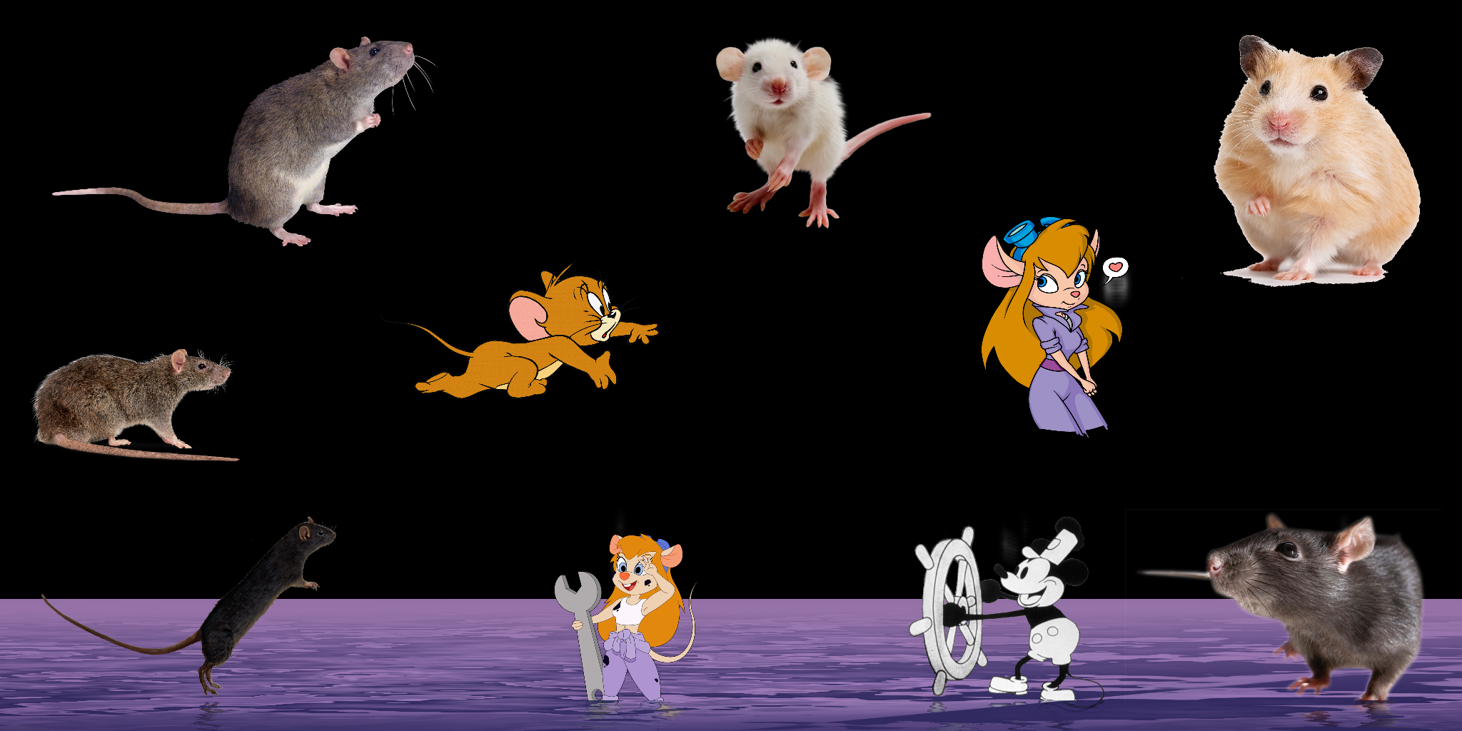 Wrong_RAT,Bro!