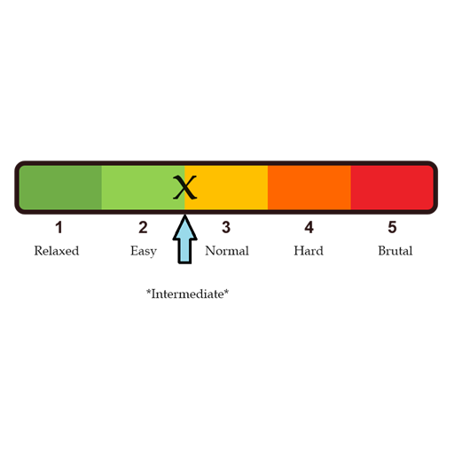 Intermediate Difficulty
