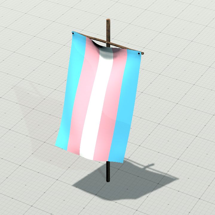 Trans Flag