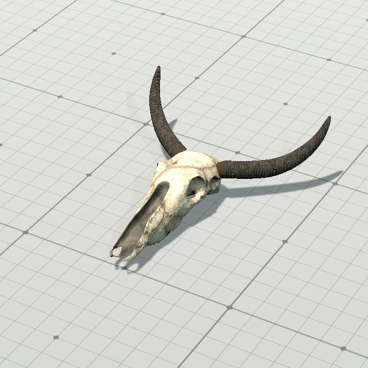 Bull Skull