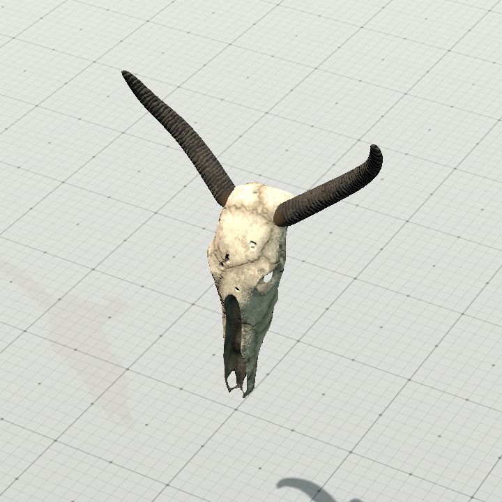 Bull Skull - Hanging