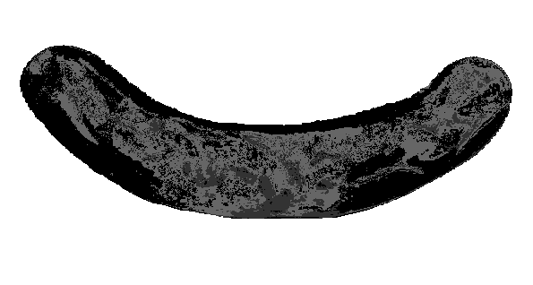 Grilled Sausage