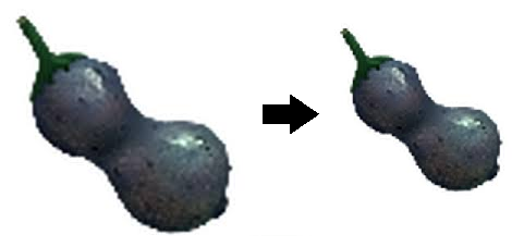 Smaller Greenfruit