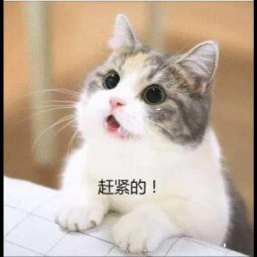 人满为患