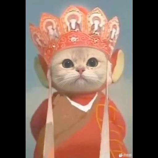 囚笼(为老Rou加了动感老王感知版)