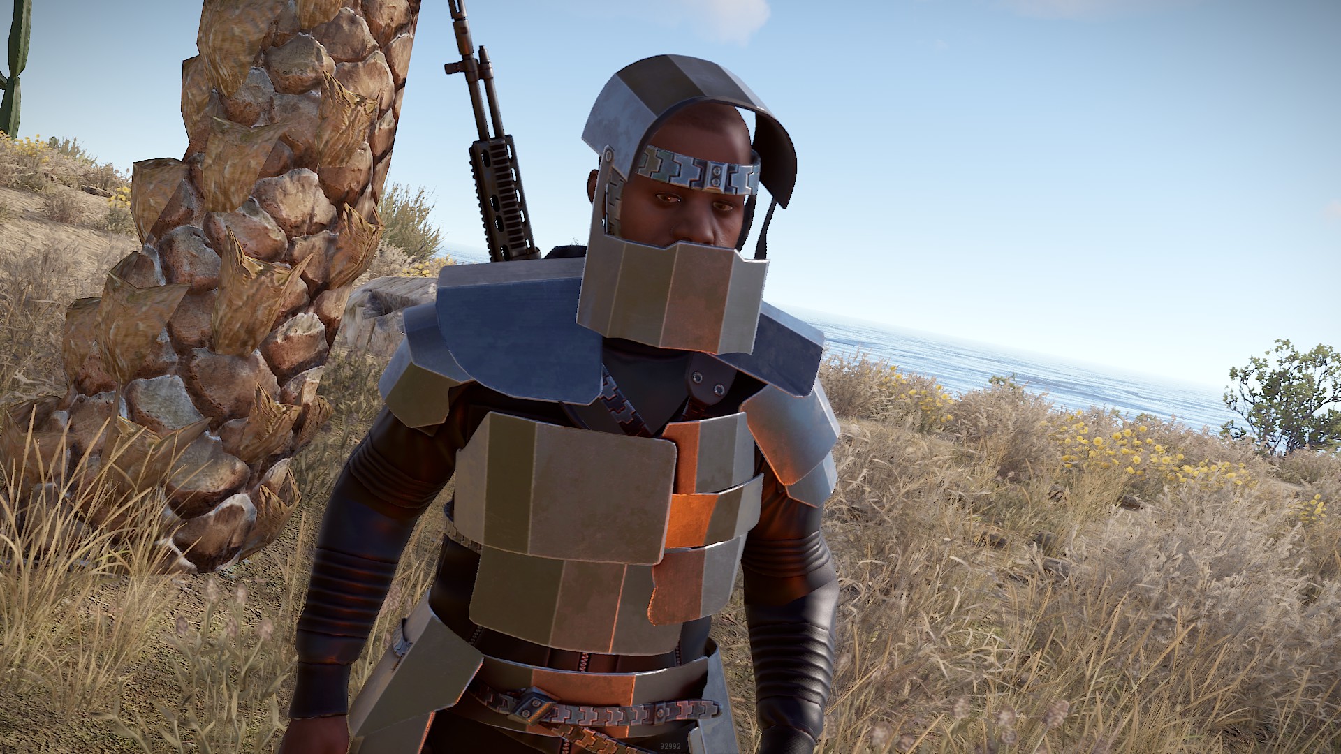 Cyberhelmet