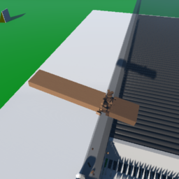 realistic plank