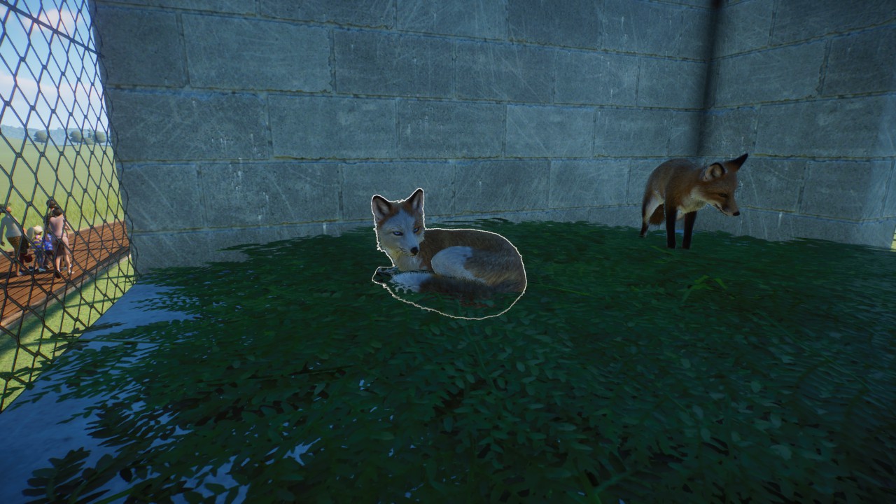Fox rescue center