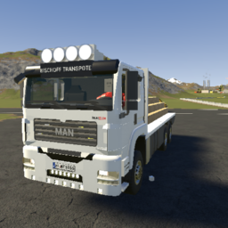 2008 MAN TGA Bischhoffs transporte