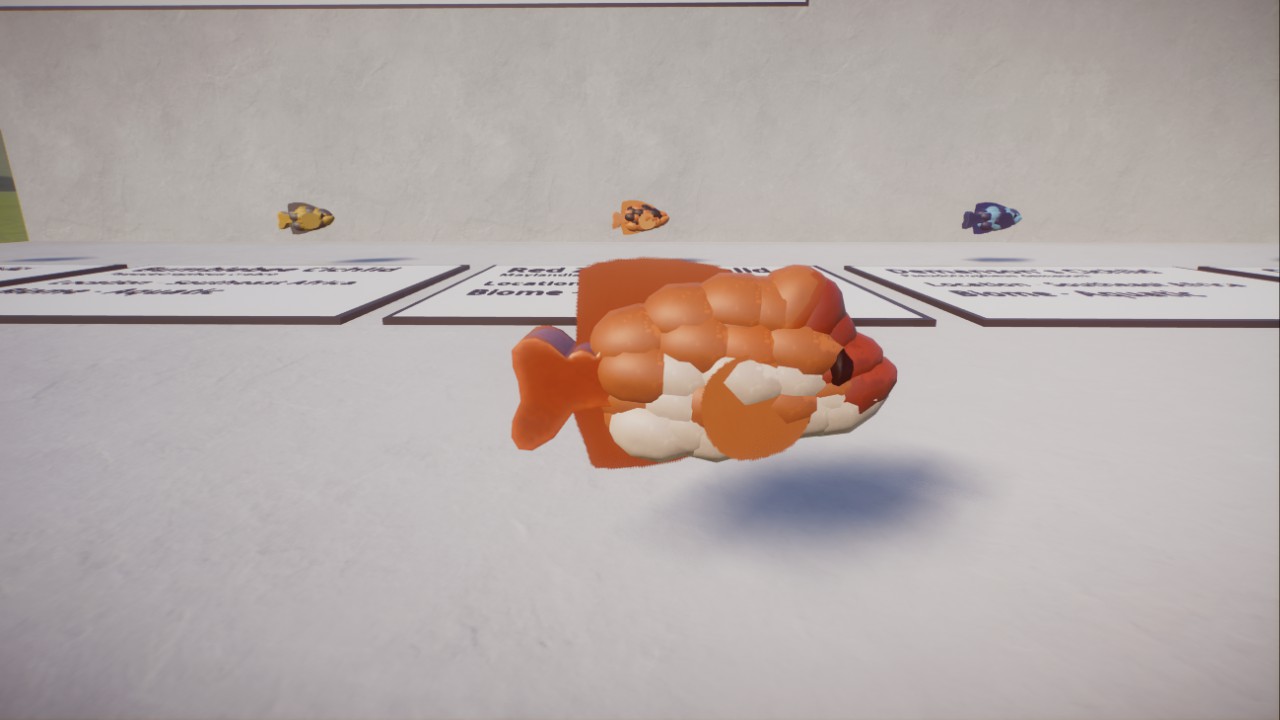 Cichlid Fish Pack - Freshwater Fish
