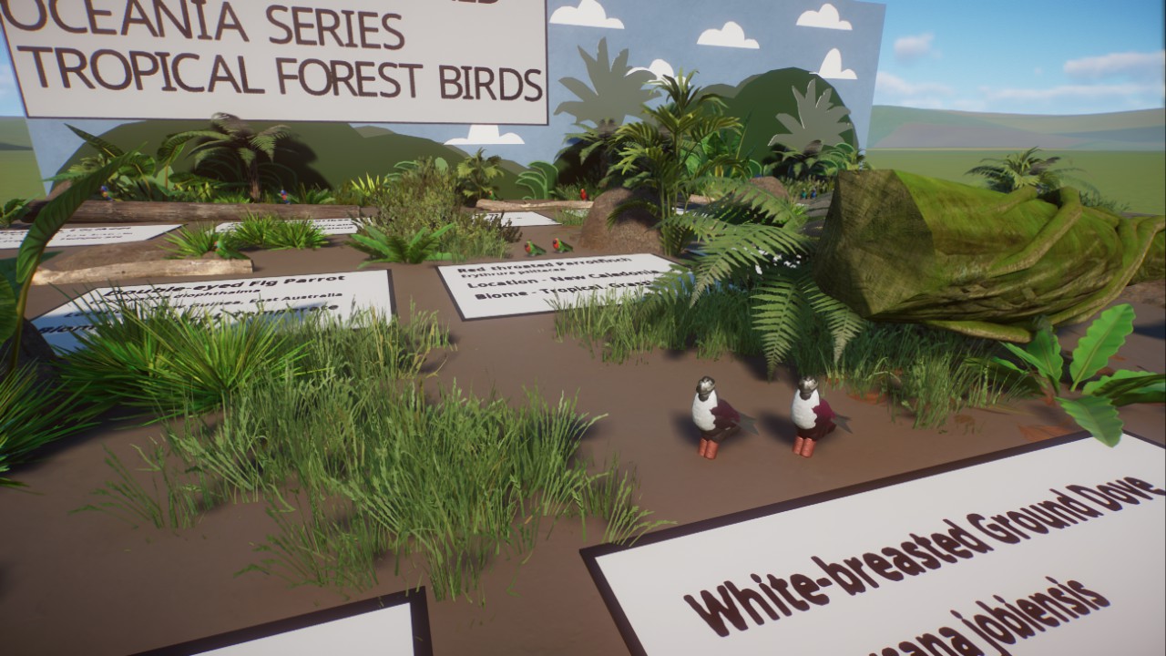 Oceania Tropical Forest Birds - Birds of the World