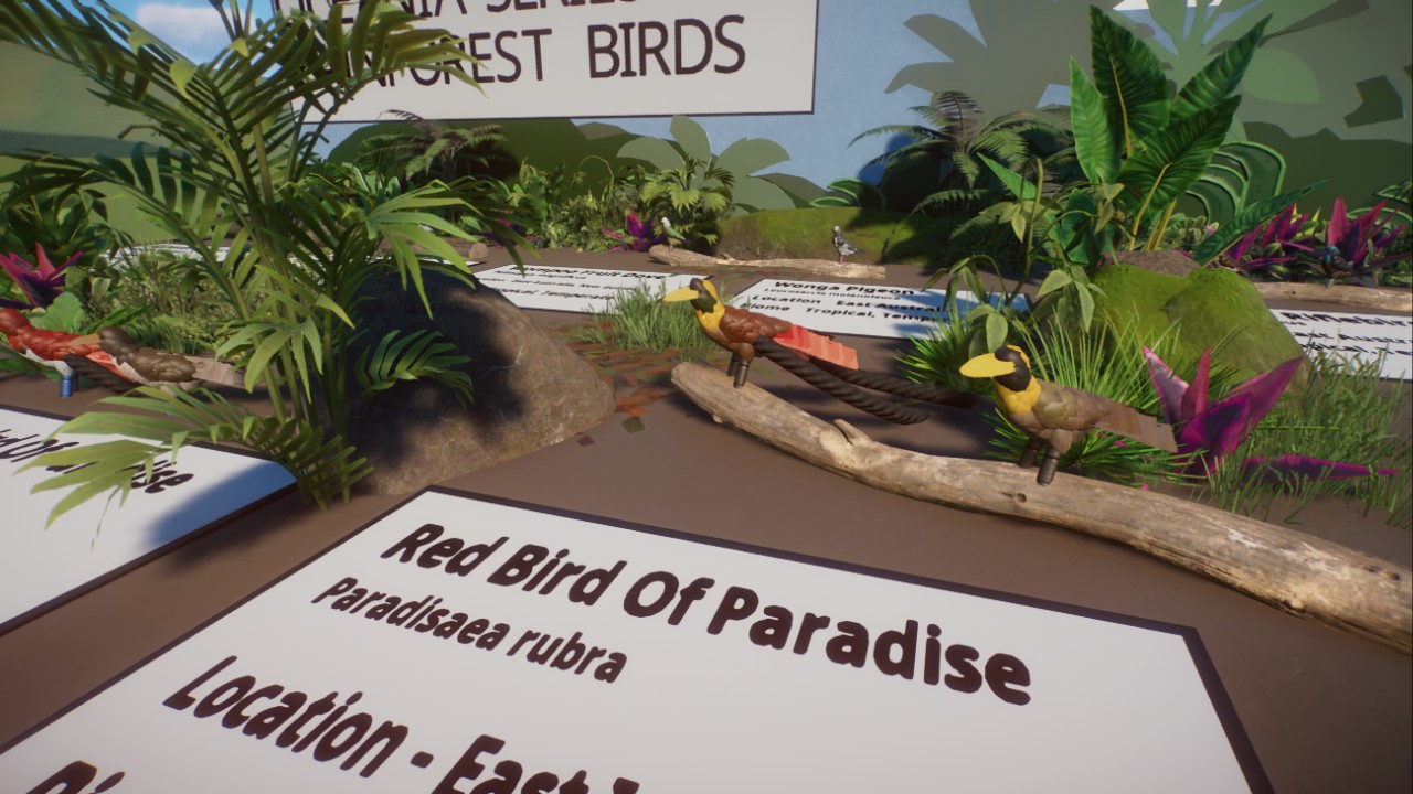 Oceania Rainforest Birds - Birds of the World