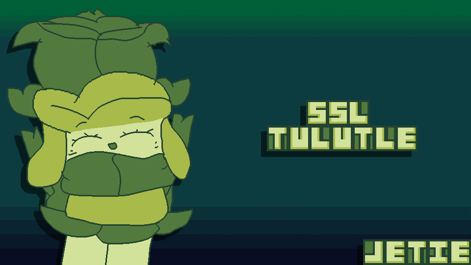SSL Tulutle