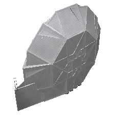 Holosnail