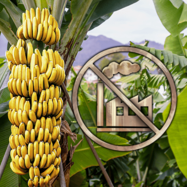Ban Subject Factories
