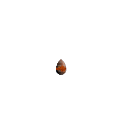 Chocolate Egg