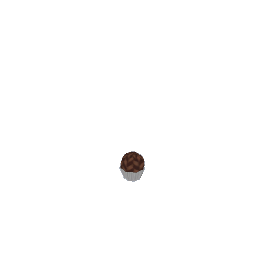 Chocolate Truffle 05