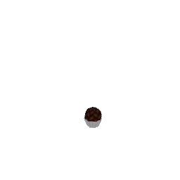 Chocolate Truffle 06