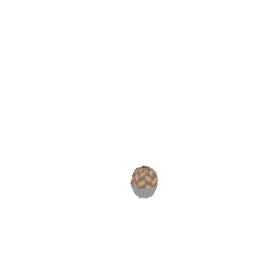 Chocolate Truffle 08