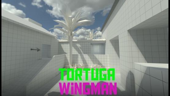 Tortuga (Wingman) – Counter-Strike 2 Mod
