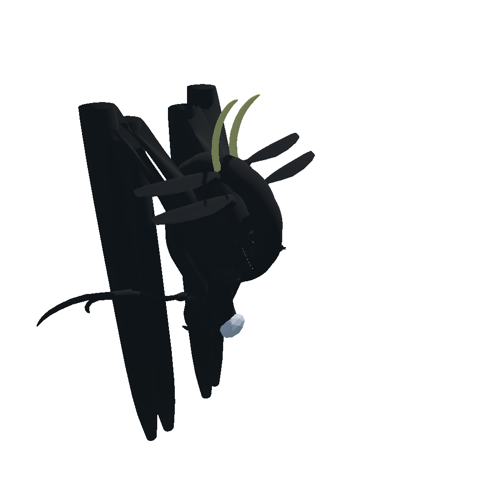 cursed broci