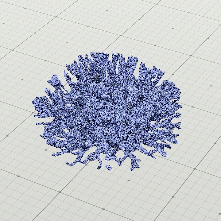 Coral 6