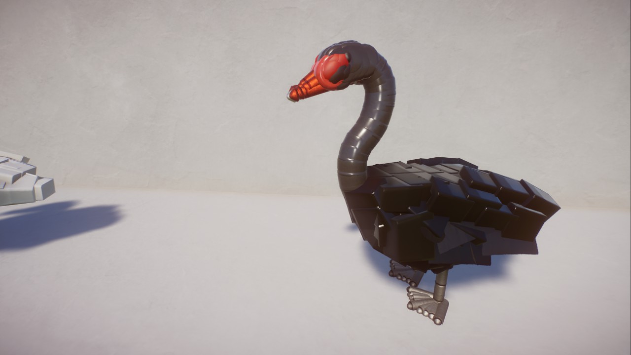 Swans - Birds of the World