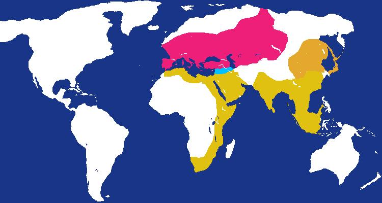 humans species 65000 years ago