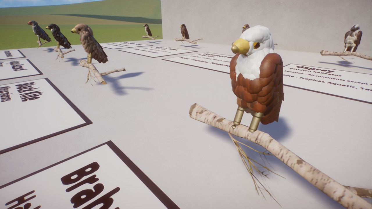 Hawks - Birds of the World