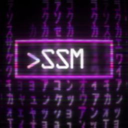SSM AmmoSettings