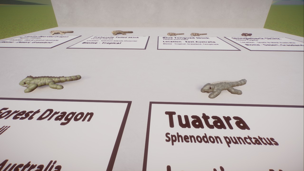 Oceania Lizards Pack - Static Reptiles